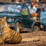 Heritage and Wilderness: The Golden Triangle Tour with a Wild Twist at Ranthambore